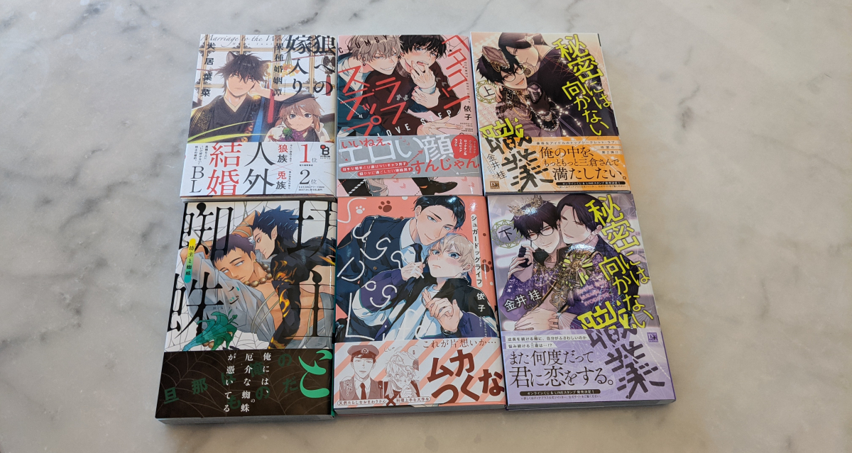 Featured image for Manga Haul #1: Cute Boys and Failing at Videos