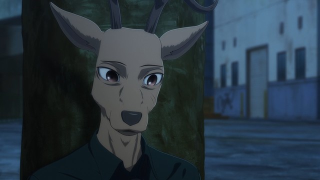 Featured image for Beastars Review — B