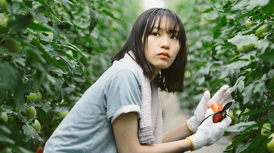 Featured image for Meet MINAMI Sara:
