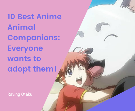 Featured image for 10 best anime animal companions