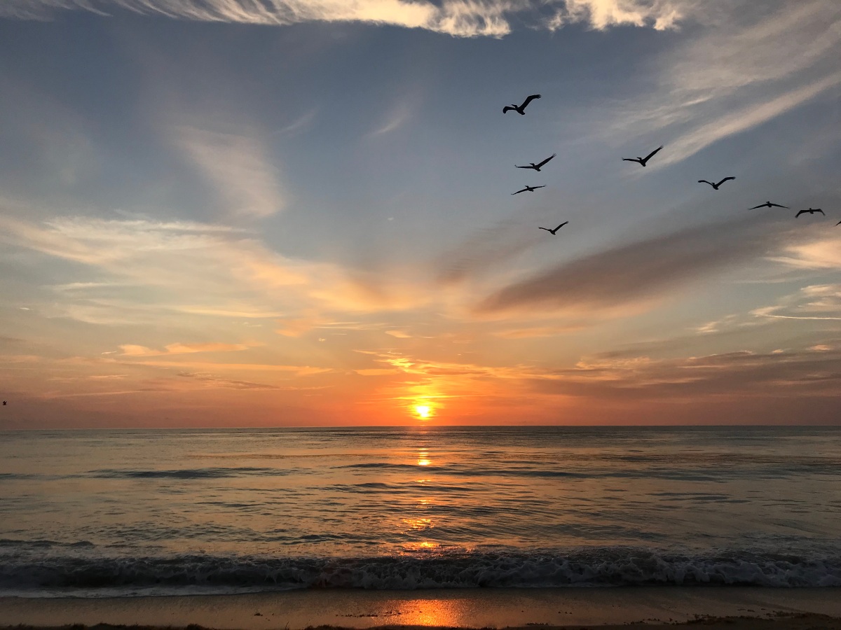 Featured image for Poem: Rambling Without Destination, or Paradise Lost (Patron Content)