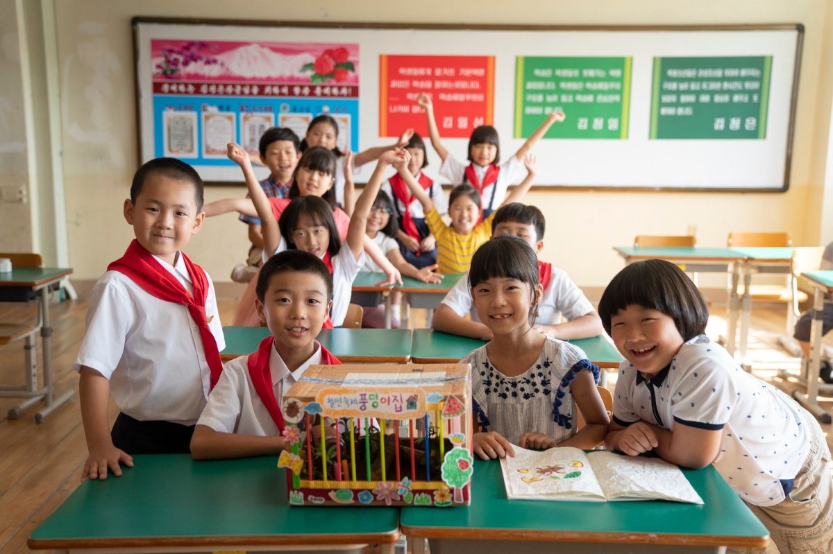 Featured image for The Beetle Project (숙제, Jin Kwang-kyo, 2025)