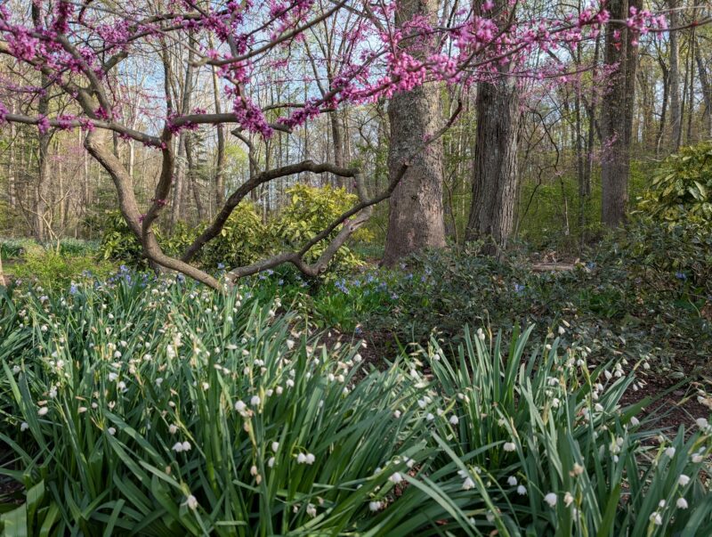 Featured image for Otaku Journalist in 2025