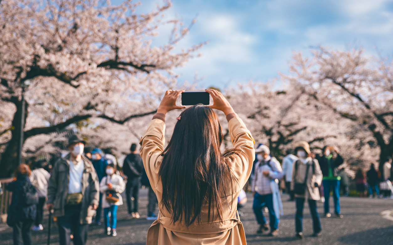 Featured image for Tokyo Events For March 2026