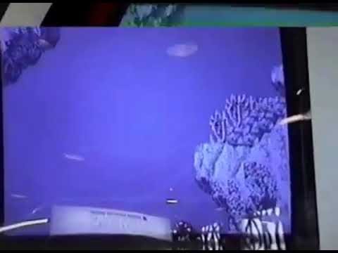 Featured image for Mariner's Run: A True Sea Dog